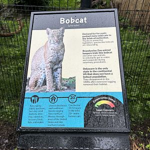 May 2025 - Bobcat Signage