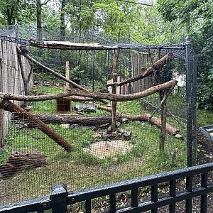 May 2025 - Porcupine Enclosure