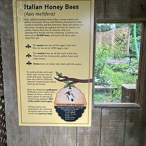 May 2025 - Honey Bee Signage
