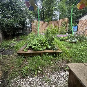 May 2025 - Honey Bee Garden (Empty)