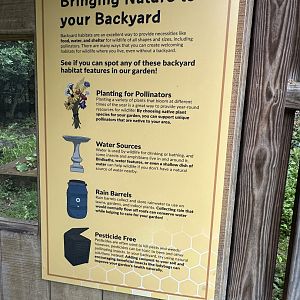 May 2025 - Backyard Signage