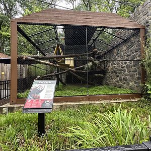 May 2025 - Red Panda Enclosure