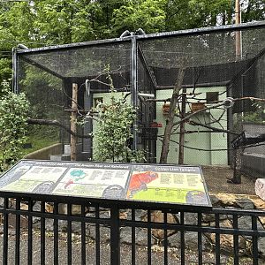 May 2025 - Tamarin & Saki Enclosures