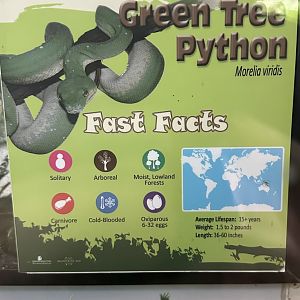 May 2025 - Reptiles of Australasia - Python Signage