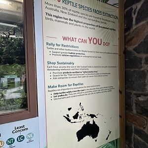 May 2025 - Reptiles of Australasia - Signage