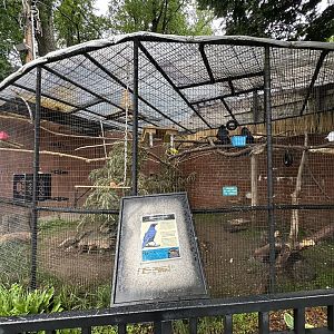 May 2025 - Raven Enclosure