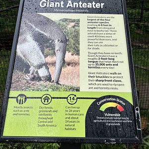May 2025 - South American Aviary - Anteater Signage