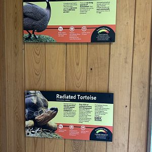 May 2025 - Madagascar - Animal Signage