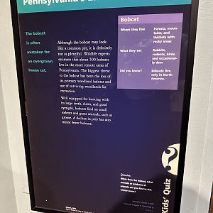 May 2025 - North America - Bobcat Signage