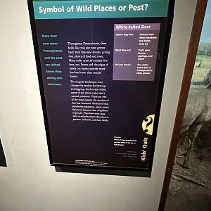 May 2025 - North America - White-Tailed Deer Signage