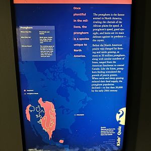 May 2025 - North America - Pronghorn Signage