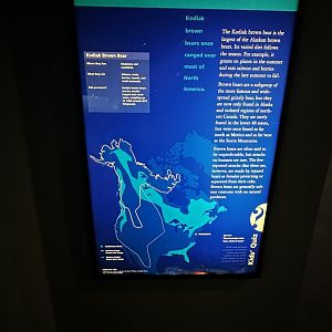 May 2025 - North America - Kodiak Bear Signage