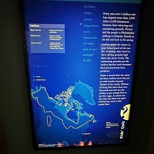 May 2025 - North America - Caribou Signage