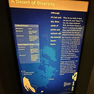 May 2025 - North America - Javelina / Bighorn Signage