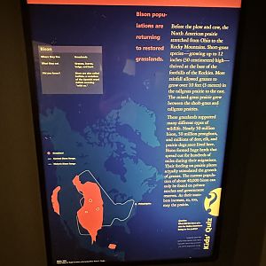 May 2025 - North America - Bison Signage