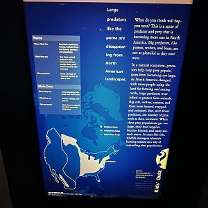 May 2025 - North America - Western Forest Signage