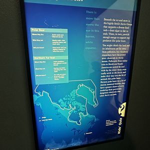 May 2025 - North America - Polar Bear Signage