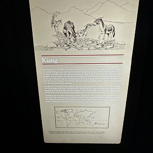 May 2025 - Asia - Kiang Signage