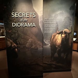 May 2025 - Secrets of the Diorama