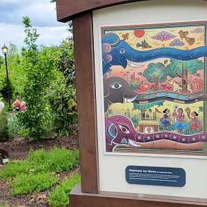 May. 2025 - NEW! Elephant Trek