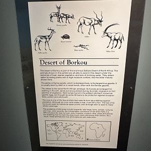 May 2025 - Africa - Desert Signage