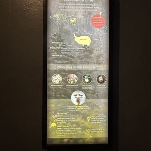 May 2025 - Asia - Takin Signage