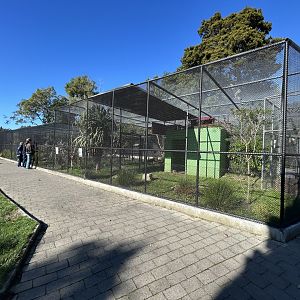 Victoria Esplanade Aviaries