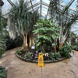 Peter Black Conservatory at The Victoria Esplanade