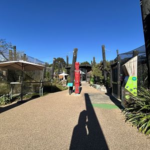 Wildbase Recovery Center - General Overview