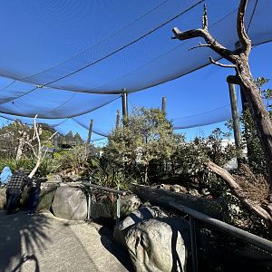 Wildbase Recovery Center - Walkthrough Aviary (5 Species)