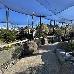 Wildbase Recovery Center - Walkthrough Aviary (5 Species)