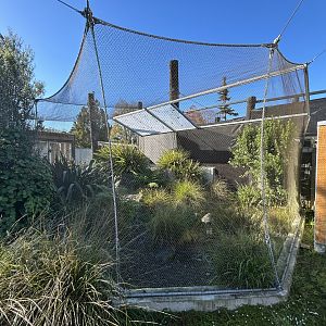 Wildbase Recovery Center - Whio Aviary