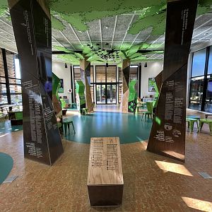 Wildbase Recovery Center - Education Building