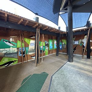 Wildbase Recovery Center - Private Aviary Viewing