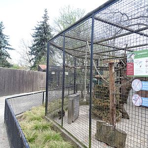 Capuchin enclosure