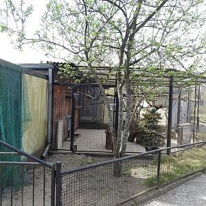 Capuchin enclosure