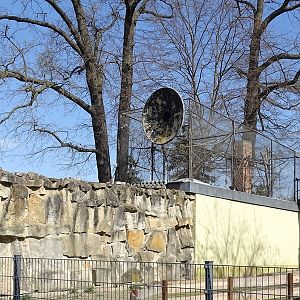 Squirrel monkey additional enclosure