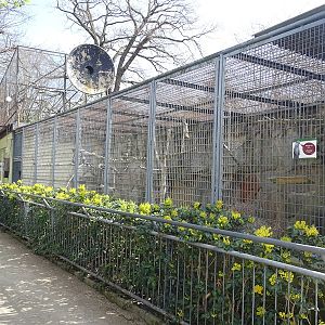 Former hyacint macaw enclosure