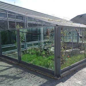 Turtle + tortoise enclosure