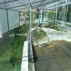 Turtle + tortoise enclosure