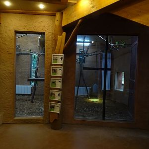 Hyrax/squirrel/parrot/guineafowl indoor enclosure