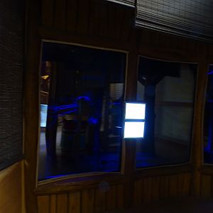 Senegal bushbaby enclosure