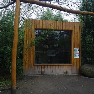 Coati/striped skunk indoor enclosure
