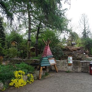 Coati / striped skunk enclosure