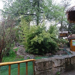 Coati / striped skunk enclosure