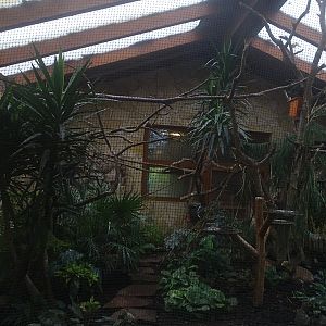 Tropical house (Asian tropical bird enclosure)