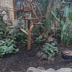 Tropical house (Asian tropical bird enclosure)