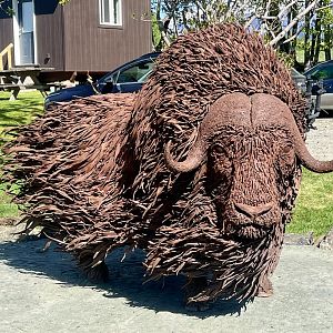 New Musk Ox Sculpture