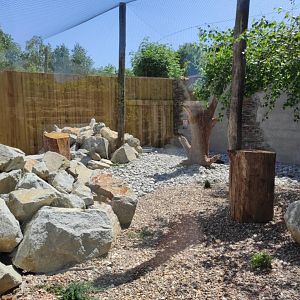 New aviary for snowy owls