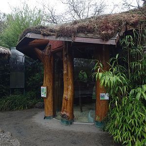 Cottontop tamarin indoor enclosure